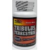Tribulus Terrestris